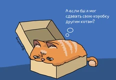 🤓Циан насчитал непрерывную семимесячную динамику падения цен на аренду жилья в столице