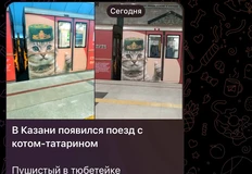 😂Когда твой вирус полетел в пабликах  без тебя.  Краснодарские жирные коты из ТОЧНО мимикрируют под местных в Казани