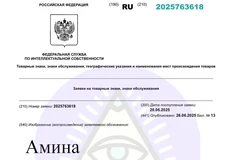 🤔Это по-настоящему странно. Департамент информационных технологий города Москвы патентует в качестве товарного знака арабское имя «Амина»