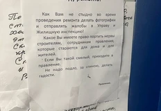 😂Андрей, не будь крысой! 